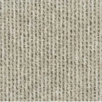 MS-Cream 12