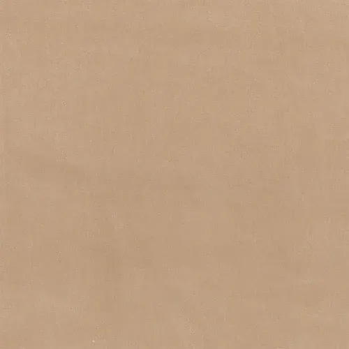 Warm Taupe Shield
